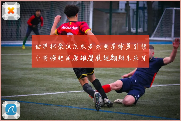 世界杯聚焦厄瓜多尔明星球员引领小将崛起高原雄鹰展翅翱翔未来可期